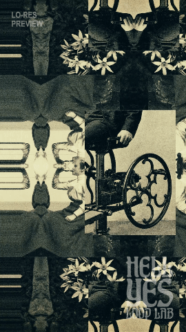 Loop #339 – The Flower and the Machine