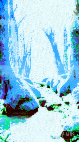 Loop #240 – Infinite Field