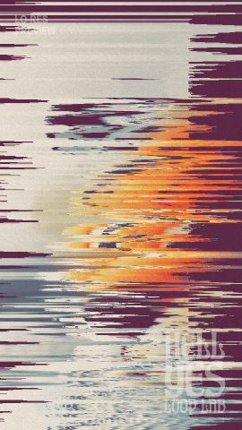 Loop #264 – Tiger Kit