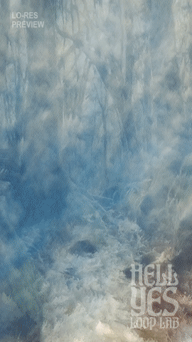 Loop #159 – Forest Bubbles