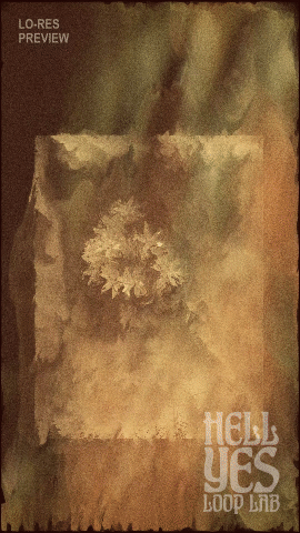 Loop #354 – Misty Mountain Hop