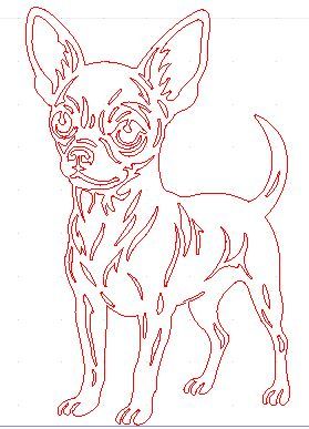 Chihuahua Standing Pattern