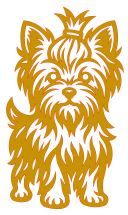 Yorkie 6 pattern