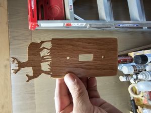 Buck and doe single switch pattern