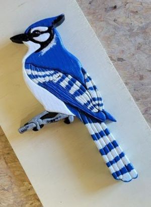 Blue jay segmented craft
