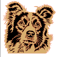 Border Collie Pattern
