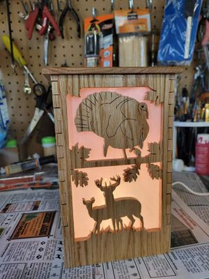 Wildlife night light