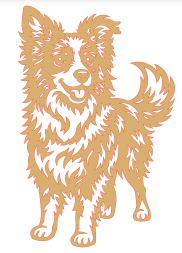 Border Collie 2 f.b. Pattern