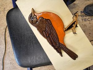 Robin segmented craft