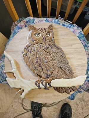 Owl Intarsia craft