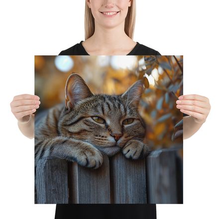  Fence Line Feline: Autumn Daydream