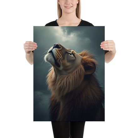 King&#x27;s Ascent: Lion Gazing Skyward