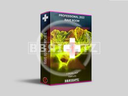 Professional Rave Room 3 Drops in 1 FLP 142BPM