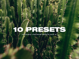 10 Lightroom Jesusance Presets Pack 1 + Tuto installation