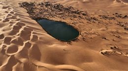Oasis Lake in Sahara Desert Libya