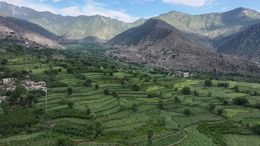 Green Terraces &amp; Distant Village in Afghanistan