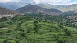 Lush Terraced Hills in Afghanistan