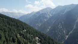 Aerial of Trees &amp; Mountains in Afghanistan