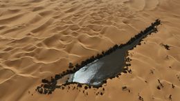 Oasis Lake in Sahara Desert Aerial