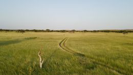 Countryside of Xudun Somalia