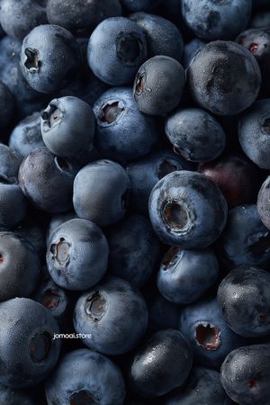 Detailed Macro Image of Ripe Blueberries – Dew-Covered Natural Fruit Texture