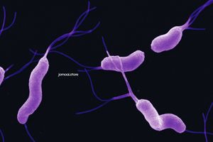 Colorized SEM Image of Helicobacter Pylori with Flagella on Dark Background