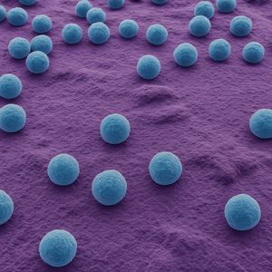 Microscopic Blue Cells On Textured Purple Surface