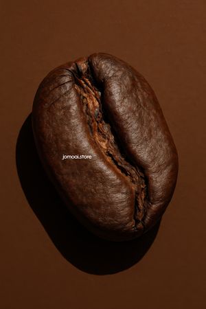Ultra-Close-Up of a Single Roasted Coffee Bean on Brown Background