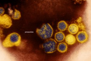 Colorized TEM Image of Epstein–Barr Virus Particles in High Detail