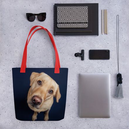Golden Question: The Lab&#x27;s Head Tilt
