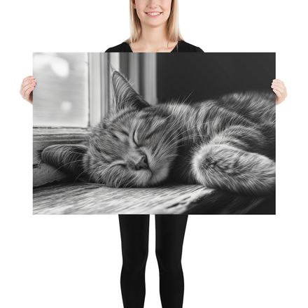 Sleeping Tabby Cat Black &amp; White Art Print by WHATAPRINT