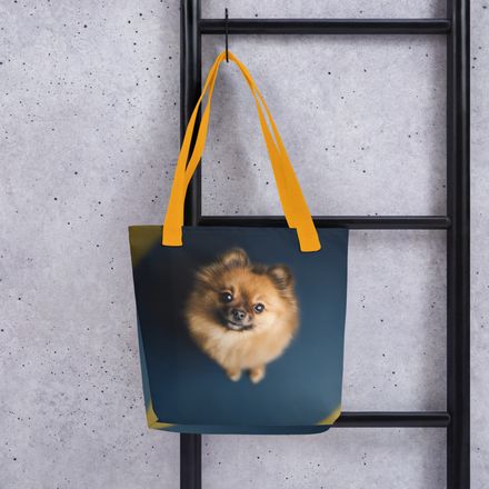 Little Explorer: Overhead Fluff