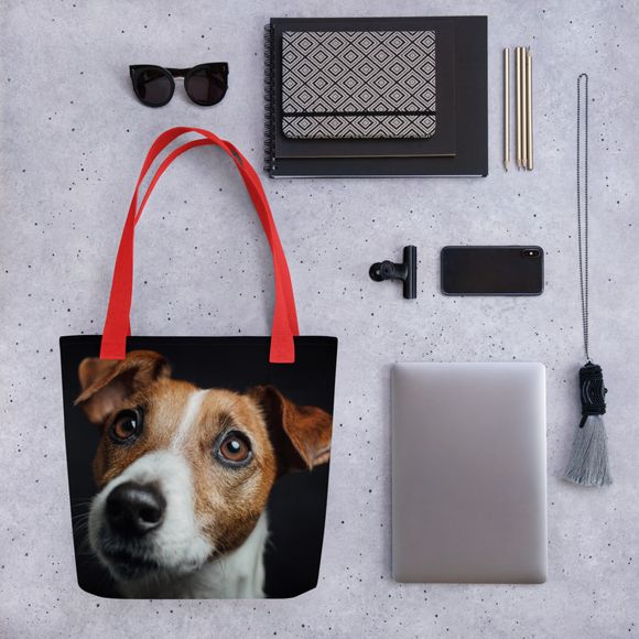 The Soulful Gaze: Jack Russell Portrait