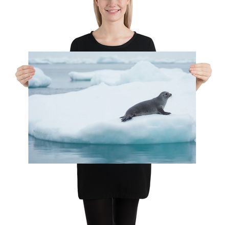Ice Floe Companion: Arctic Serenity