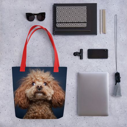 Fuzzball Focus: Poodle&#x27;s Wide-Eyed Wonder