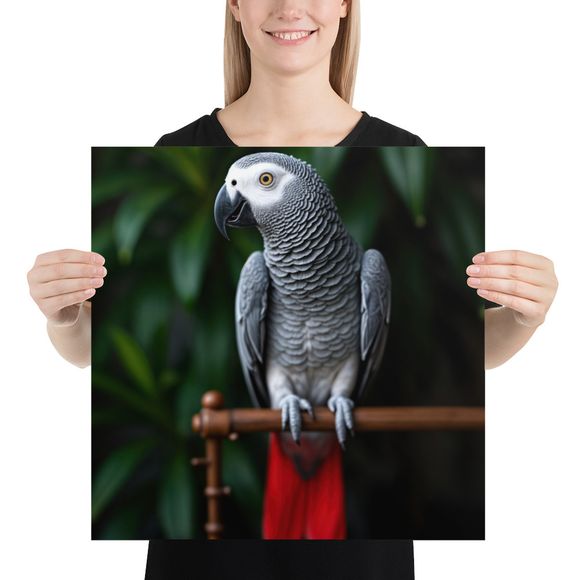 The Communicator: African Grey