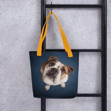 Puzzled Presence: The Bulldog Head Tilt