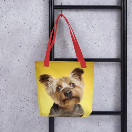 Tiny Tyrant: The Yorkie Head Tilt