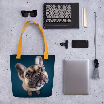 The Big Ask: Frenchie&#x27;s Upward Gaze