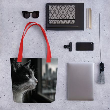 A Cat&#x27;s City View