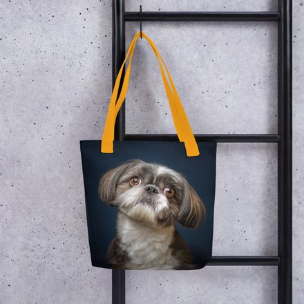 Imperial Query: The Shih Tzu Head Tilt