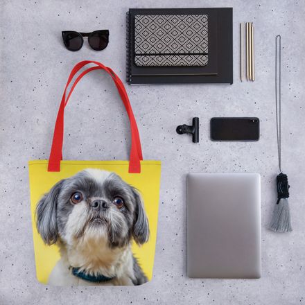 Imperial Charm: Shih Tzu in Sunlight