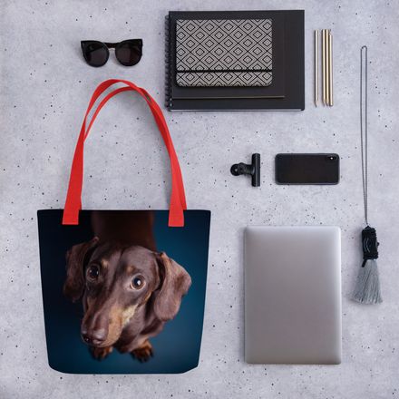 Sausage Dog Serenade: The Upward Look