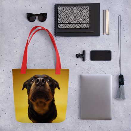 Gentle Giant: The Rottweiler&#x27;s Noble Gaze