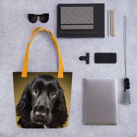 Velvet Ears: Cocker Spaniel&#x27;s Gaze
