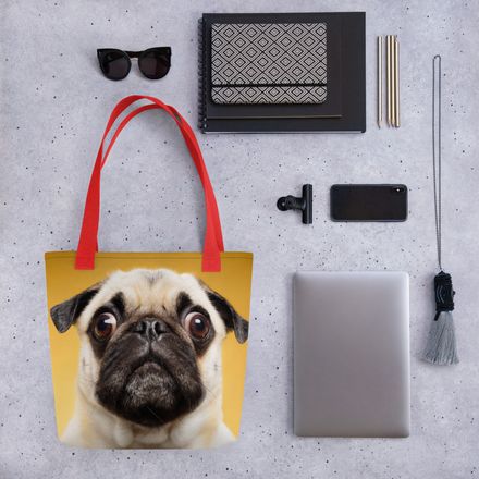 Bug-Eyed Buddy: The Pug Stare