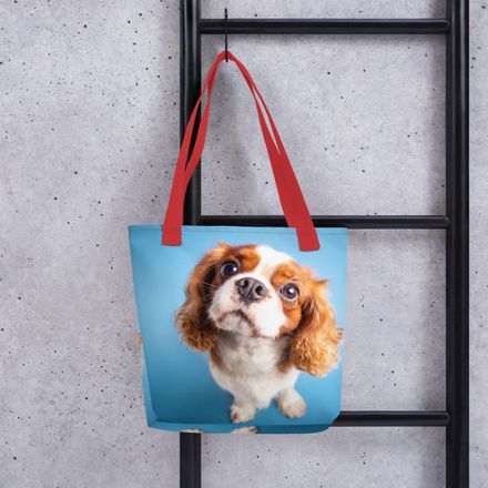 Royal Ponder: Cavalier&#x27;s Curious Gaze