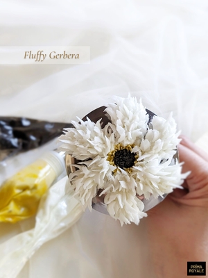 Fluffy Gerbera (downloadable)