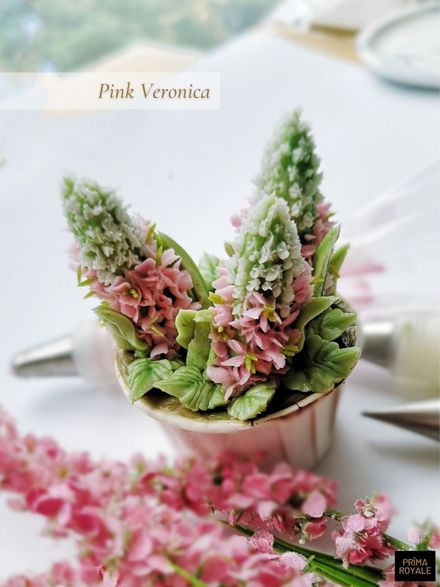 Pink Veronica (downloadable)