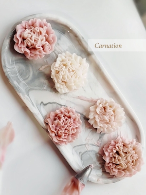 Carnation (downloadable)